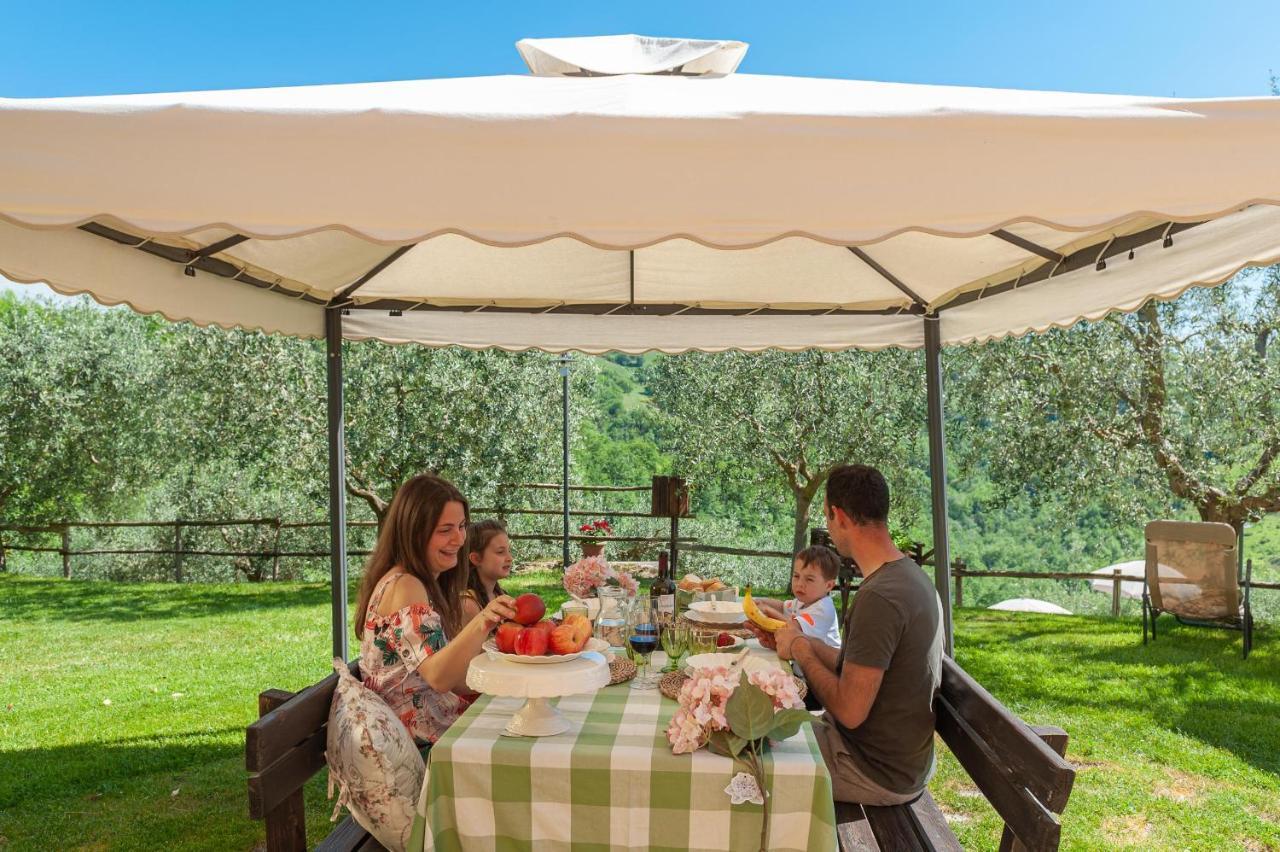 Agriturismo Le Dolci Colline Valfabbrica 客房 照片